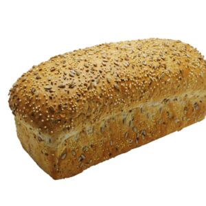 Artipan