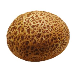 Harde bol wit tijger